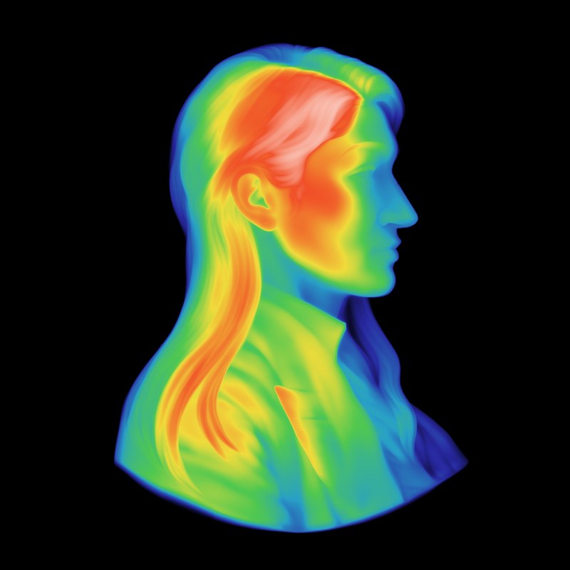 My portrait, as a height map in false colour